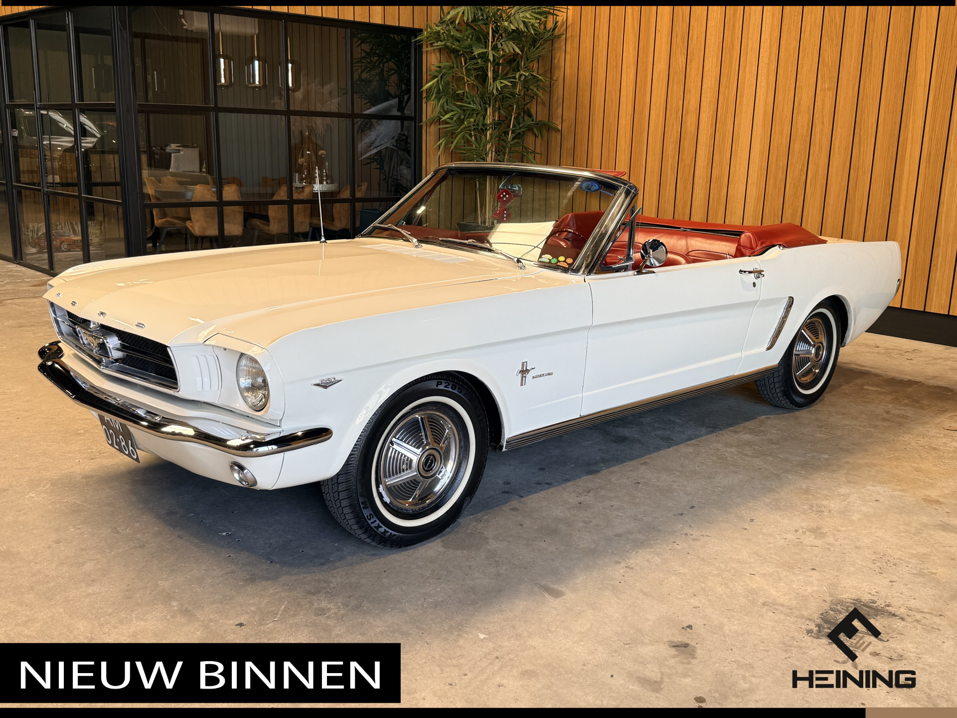48491598-59.jpg